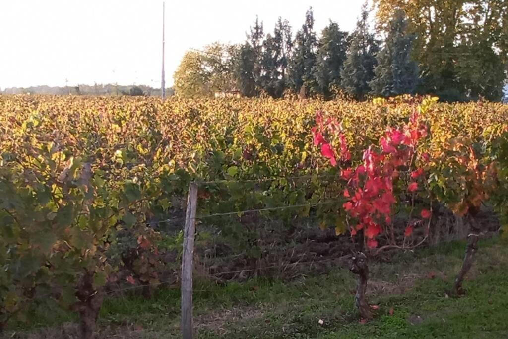 Chateau Roseyrol Proche Saint-Emilion Exterior photo